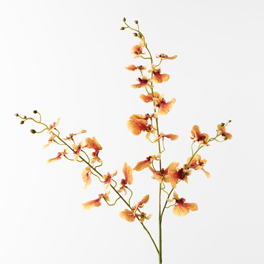 Orange Dancing Orchid